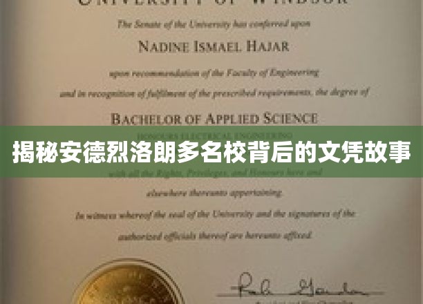 揭秘安德烈洛朗多名校背后的文凭故事