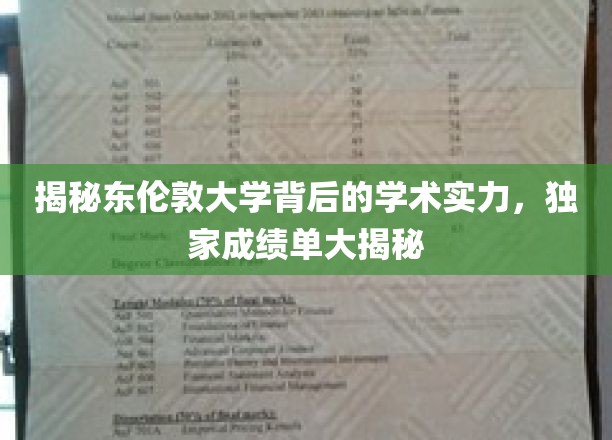 解码东伦敦大学，一探究竟的学术辉煌与卓越成就