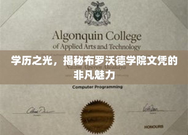 布罗沃德学院文凭，解锁教育精英的神秘魅力
