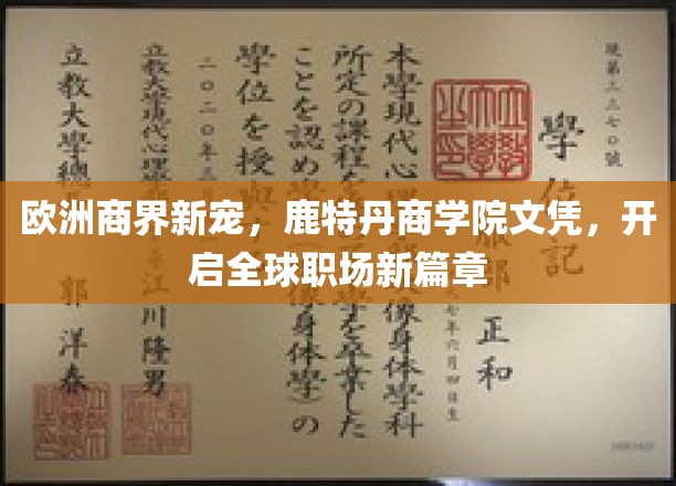 欧洲商界新宠，鹿特丹商学院文凭，开启全球职场新篇章