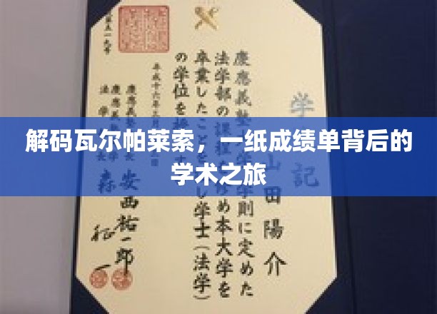 探寻瓦尔帕莱索奥秘，成绩单背后的学术探险之旅