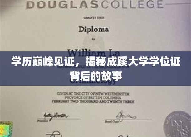 学历巅峰见证，深度解析成蹊大学学位证背后的传奇故事