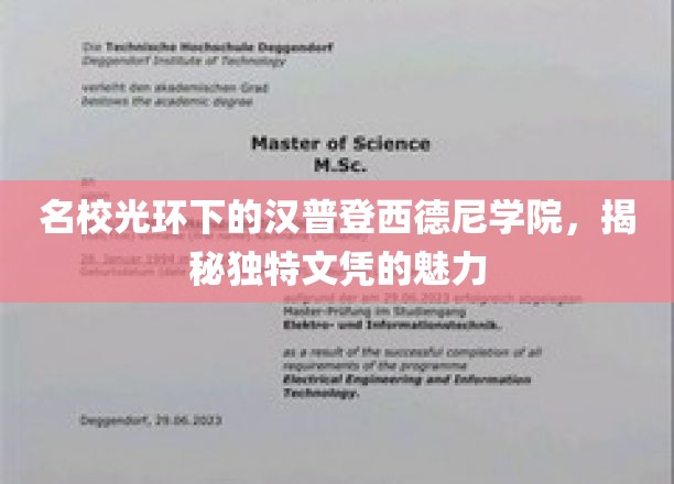 揭开汉普登西德尼学院名校光环下的独特文凭之谜