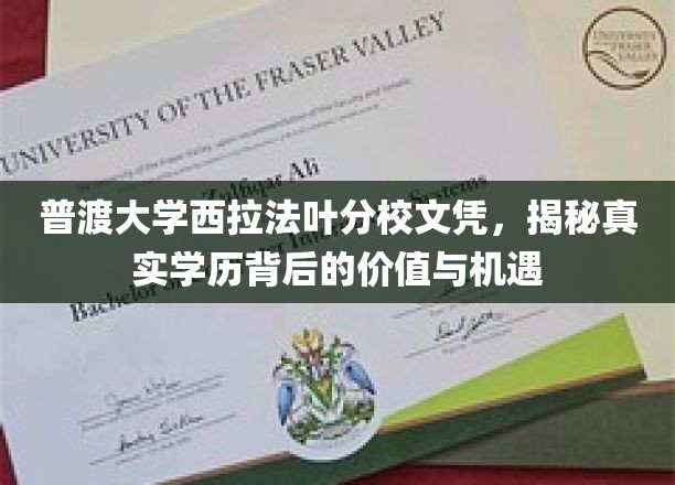 解码普渡大学西拉法叶分校文凭，揭秘学历背后的无限可能
