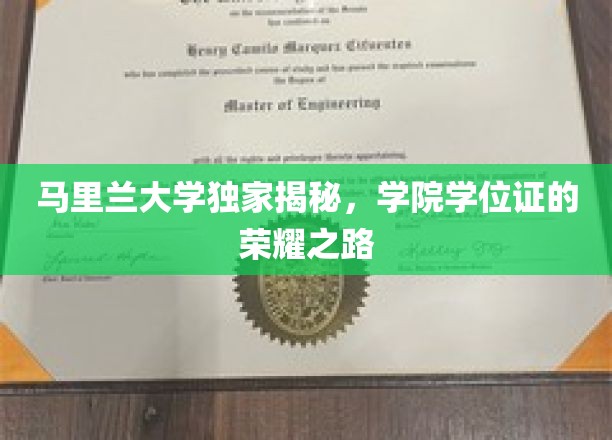 马里兰大学独家揭秘，学院学位证的荣耀之路