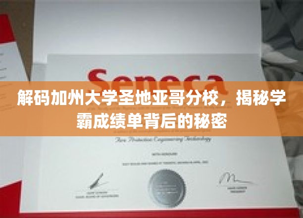 揭秘圣地亚哥分校学霸之路，揭开高分背后的奥秘