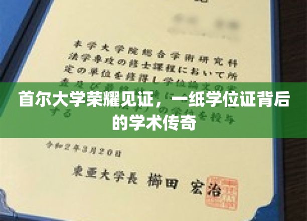 首尔大学荣耀见证，一纸学位证背后的学术传奇