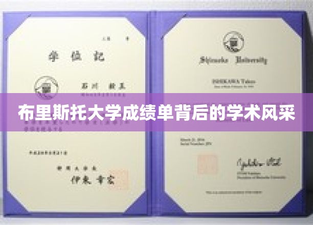 解码布里斯托大学，成绩单下的璀璨学术魅力