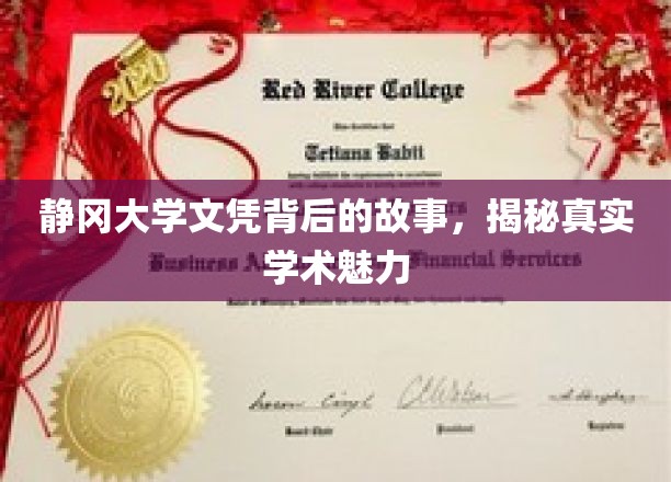 静冈大学文凭背后的故事，揭秘真实学术魅力