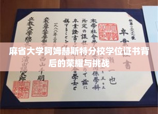 麻省大学阿姆赫斯特分校学位证书背后的荣耀与挑战