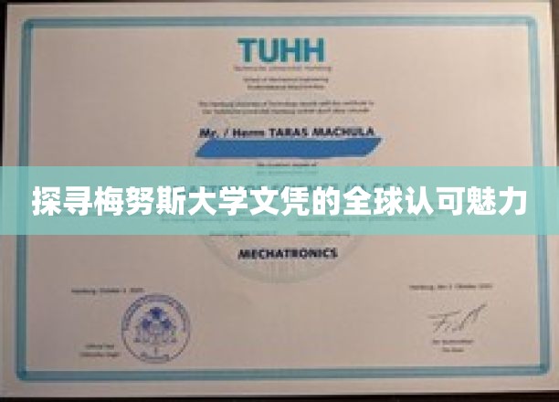 国际视野下的梅努斯大学文凭吸引力解析