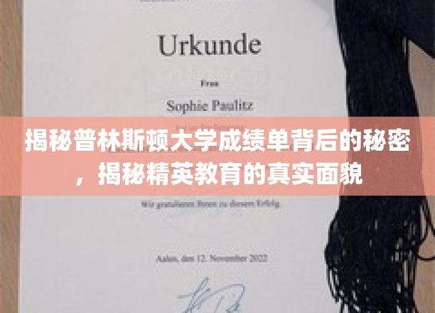 普林斯顿大学成绩单揭秘，探寻精英教育背后的真相