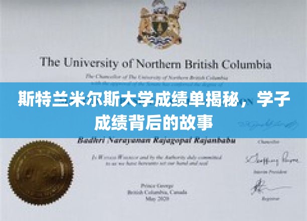 斯特兰米尔斯大学成绩单背后，学子奋斗轨迹大揭秘