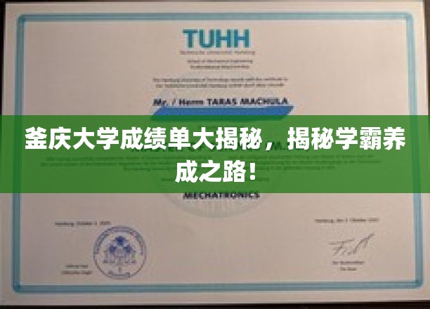 釜庆大学成绩单大揭秘，揭秘学霸养成之路！