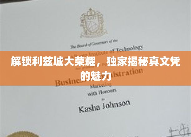 揭秘利兹城辉煌背后的真实学历力量