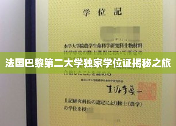 探寻巴黎第二大学神秘学位证的背后传奇