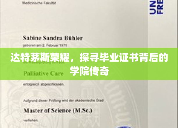 达特茅斯荣耀，探寻毕业证书背后的学院传奇