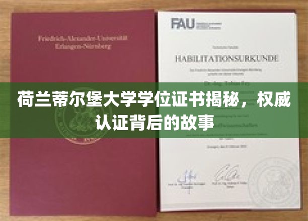 荷兰蒂尔堡大学学位证书揭秘,权威认证背后的故事