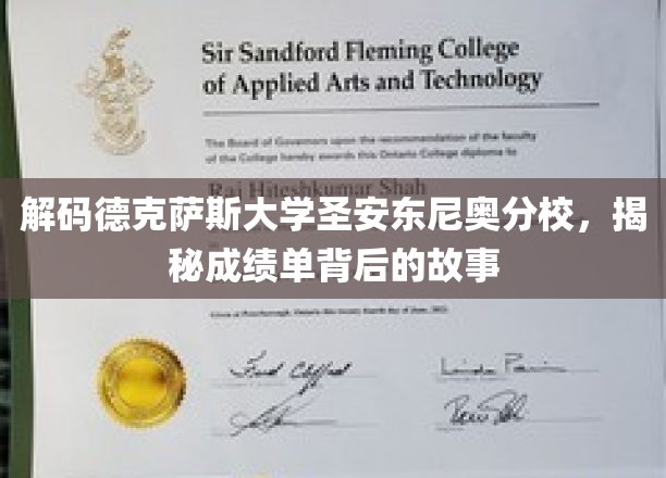 探寻德克萨斯大学圣安东尼奥分校，揭开成绩单的神秘面纱