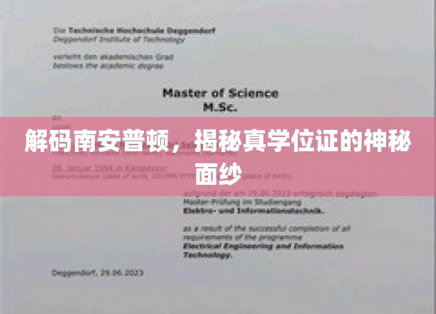 南安普顿学位证之谜，揭秘真实学历背后的传奇故事