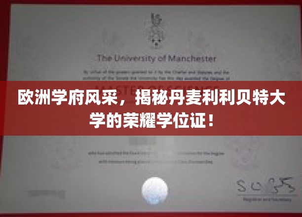 欧洲名校之光，探寻丹麦利利贝特大学独领风骚的荣耀学位证之谜