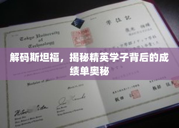 斯坦福精英养成记，揭秘学霸背后的惊人成绩单秘密