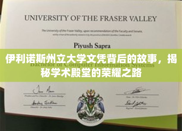 伊利诺斯州立大学文凭背后的传奇，探寻荣耀殿堂的学术征程