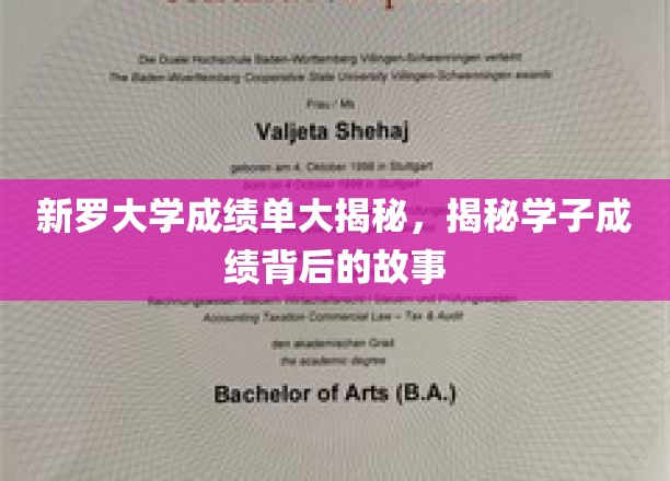 新罗学子成绩背后，揭秘青春奋斗的轨迹