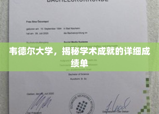 韦德尔大学，揭秘学术辉煌背后的详细成绩单大揭秘