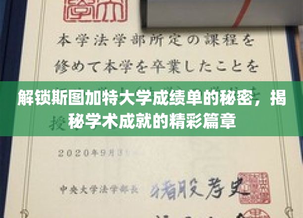 斯图加特大学成绩单背后的学术传奇，一窥卓越成就的神秘之门