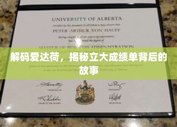 解码爱达荷，揭秘立大成绩单背后的故事