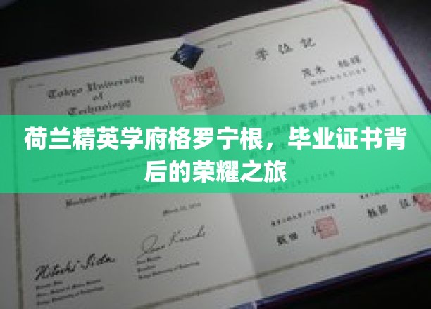 荷兰精英学府格罗宁根，毕业证书背后的荣耀之旅