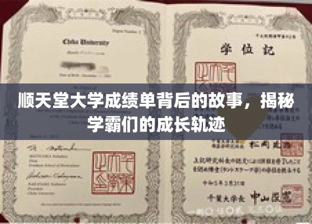 学霸养成记，顺天堂大学成绩单背后的非凡历程