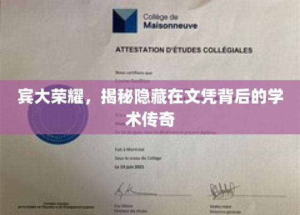 宾大荣耀，揭秘隐藏在文凭背后的学术传奇