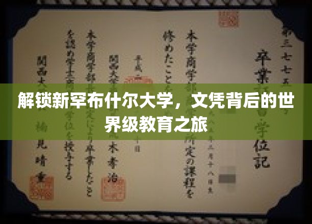 探寻新罕布什尔大学，文凭背后的国际教育奥秘