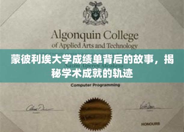 揭开蒙彼利埃大学成绩单的神秘面纱，探寻学术辉煌的秘密轨迹