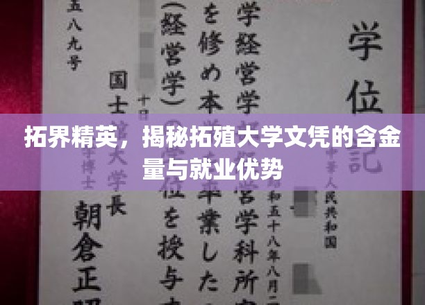 拓殖文凭实力揭秘，精英养成背后的就业黄金法则