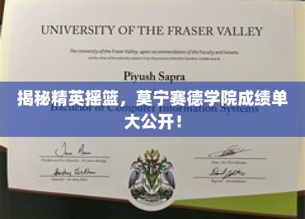 揭秘顶尖学府实力，莫宁赛德学院学子成绩震撼来袭！
