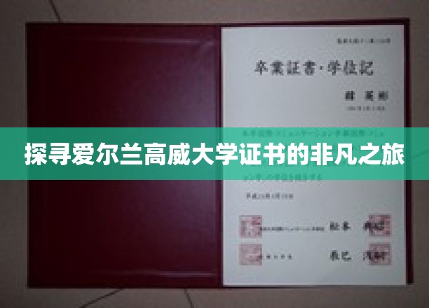 解锁爱尔兰高威大学证书背后的传奇故事