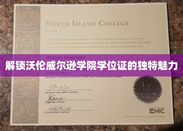 沃伦威尔逊学院学位证，揭秘背后的独特价值与无限可能