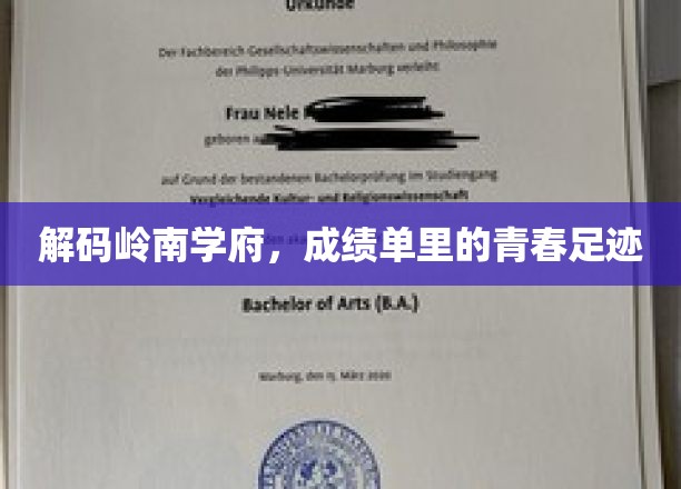 岭南学府青春印记，揭秘学子成绩单背后的奋斗故事