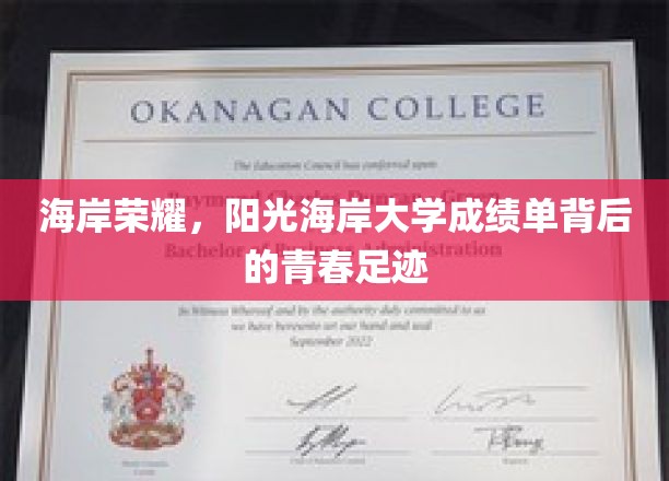 阳光海岸大学，揭秘青春足迹下的辉煌成绩单