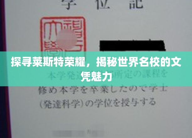 莱斯特大学之光，探寻名校文凭背后的独特魅力