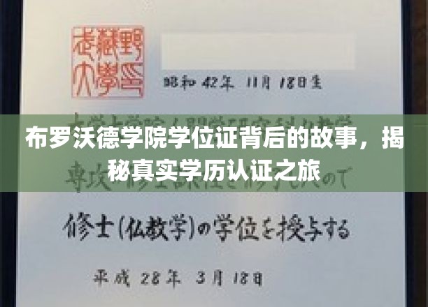 布罗沃德学院学位证背后的故事，揭秘真实学历认证之旅