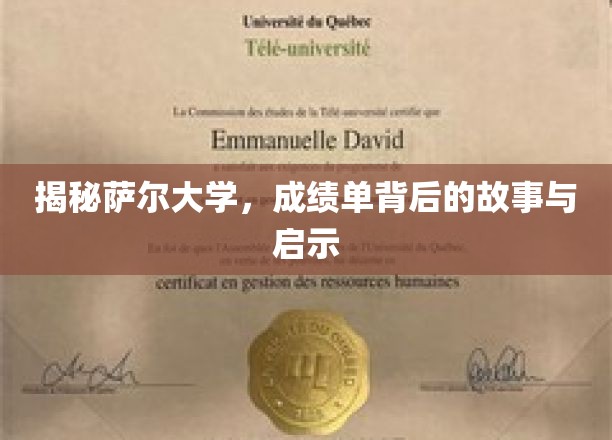 探索萨尔大学成绩单，揭开学术成就背后的神秘面纱