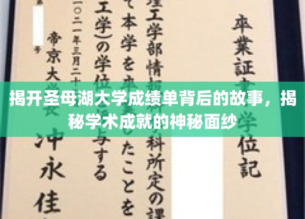 揭开圣母湖大学成绩单的神秘面纱，探寻学术辉煌背后的真实故事