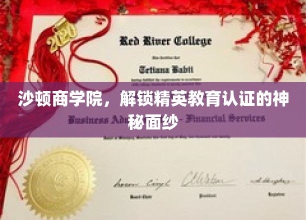 沙顿商学院，解锁精英教育认证的神秘面纱
