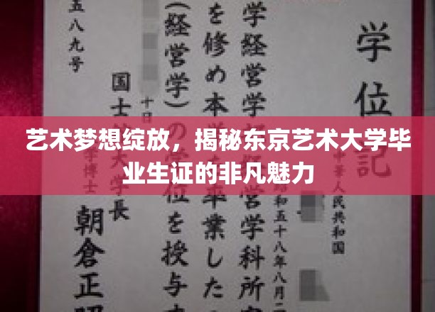 艺术梦想绽放，揭秘东京艺术大学毕业生证的非凡魅力
