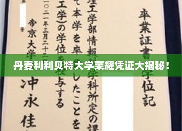 探索丹麦利利贝特大学神秘荣耀证书背后的故事