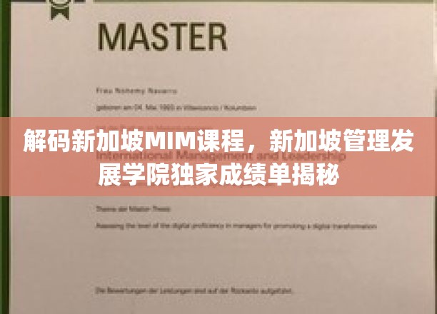 新加坡MIM课程揭秘，管理发展学院独家成绩单背后的秘密
